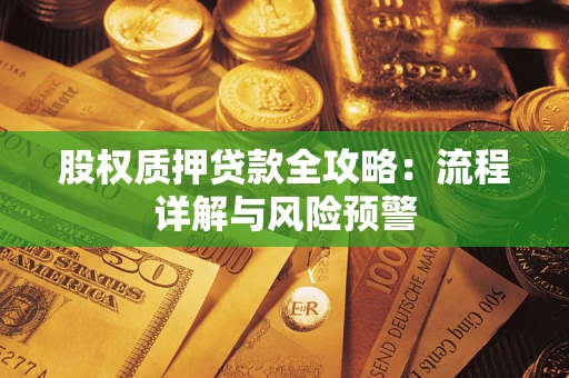 武汉股权质押贷款全攻略：流程详解与风险预警