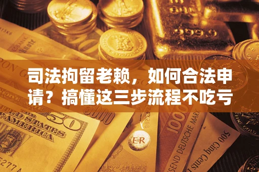 武汉司法拘留老赖，如何合法申请？搞懂这三步流程不吃亏！