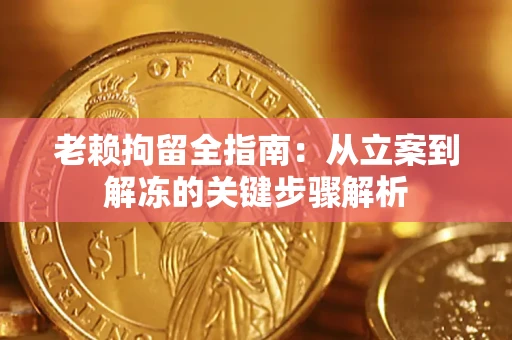 武汉老赖拘留全指南：从立案到解冻的关键步骤解析