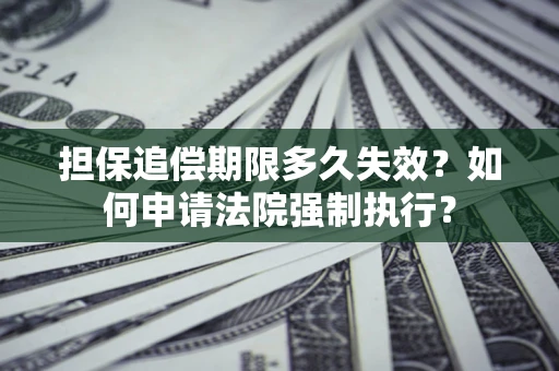 武汉担保追偿期限多久失效？如何申请法院强制执行？