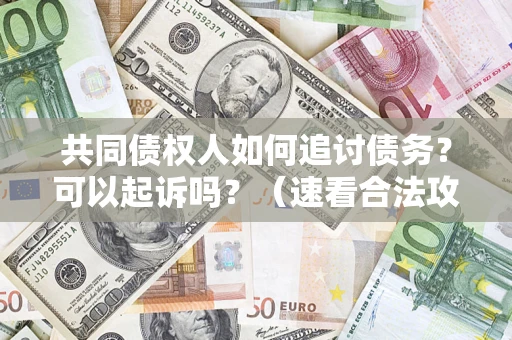 武汉共同债权人如何追讨债务？可以起诉吗？（速看合法攻略）