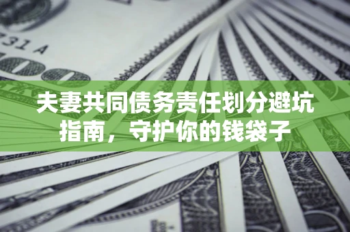 武汉夫妻共同债务责任划分避坑指南，守护你的钱袋子