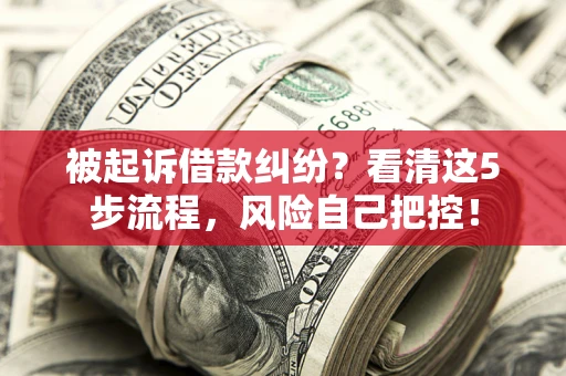 武汉被起诉借款纠纷？看清这5步流程，风险自己把控！