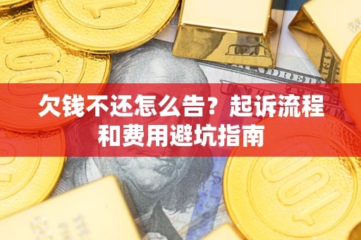 武汉欠钱不还怎么告？起诉流程和费用避坑指南