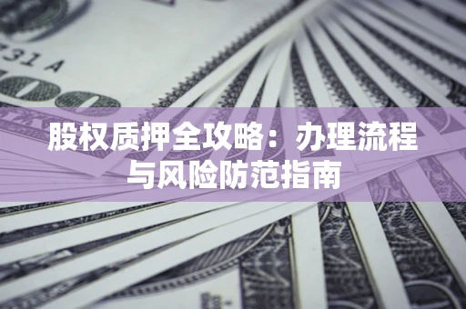 武汉股权质押全攻略：办理流程与风险防范指南