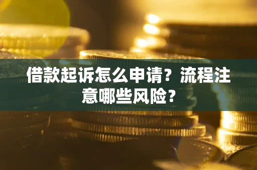 武汉借款起诉怎么申请？流程注意哪些风险？